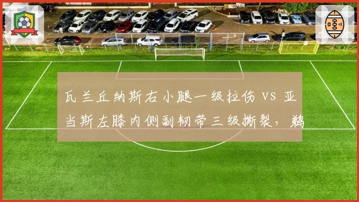 瓦兰丘纳斯右小腿一级拉伤 vs 亚当斯左膝内侧副韧带三级撕裂,鹈鹕与火箭内线复出时间表对比