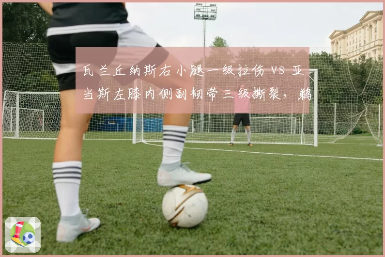 瓦兰丘纳斯右小腿一级拉伤 vs 亚当斯左膝内侧副韧带三级撕裂，鹈鹕与火箭内线复出时间表对比