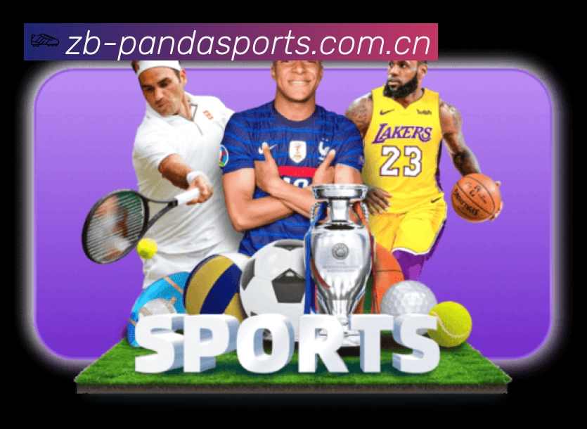 熊猫体育赛事入口体系与导航结构